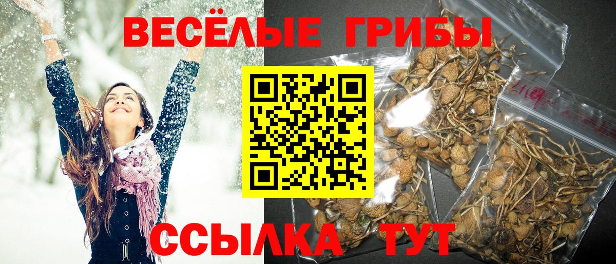 Учалы  Псилоцибиновые грибы мухоморы  купить   Вход с VPN  Псилоцибиновые грибы прущие грибы 